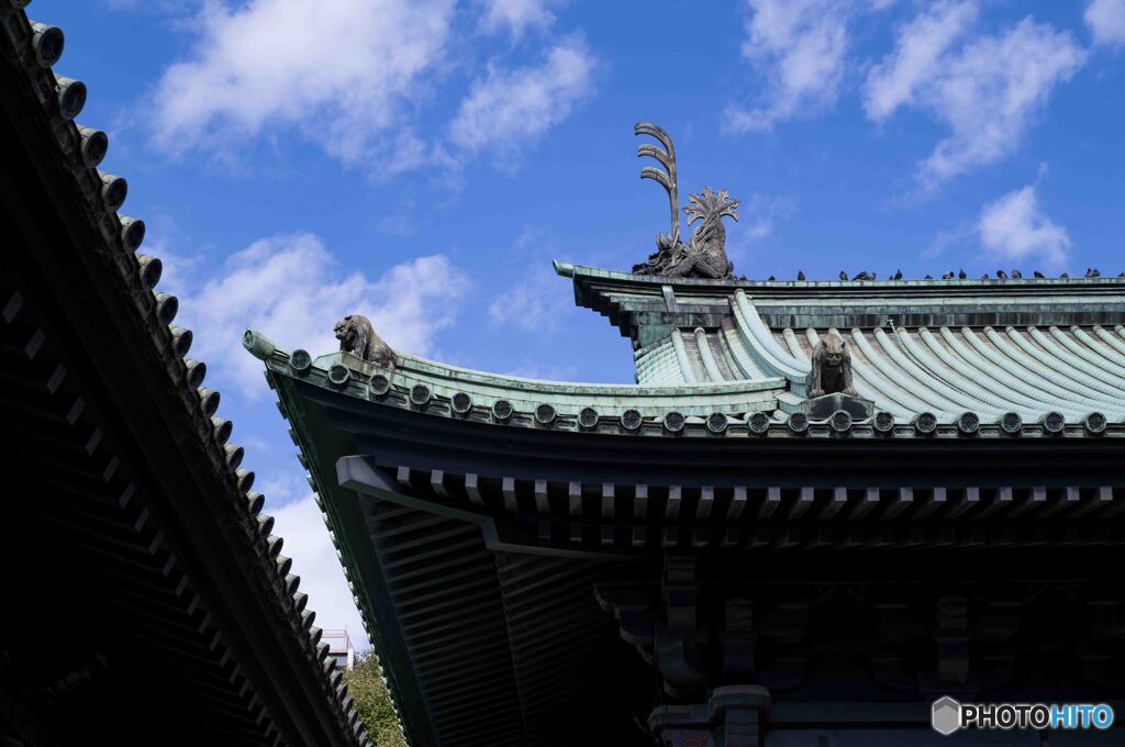 湯島聖堂