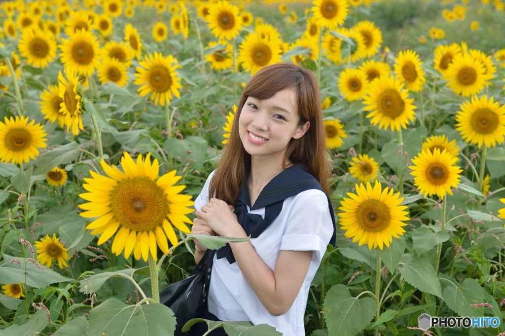 学校の帰り道