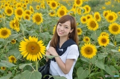 学校の帰り道