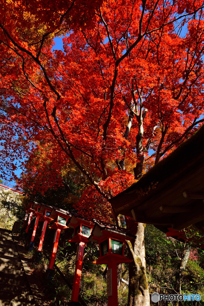 Mt.Kurama登山