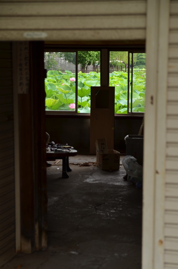 不忍池の廃屋
