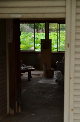 不忍池の廃屋