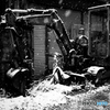 久々の雪4