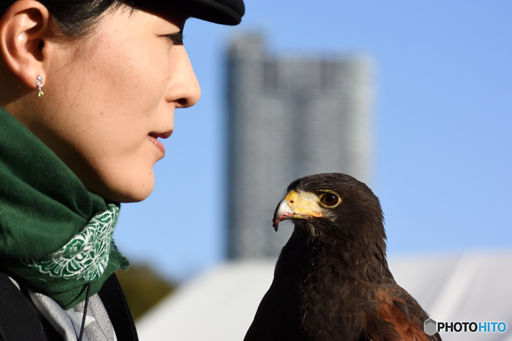 信頼関係