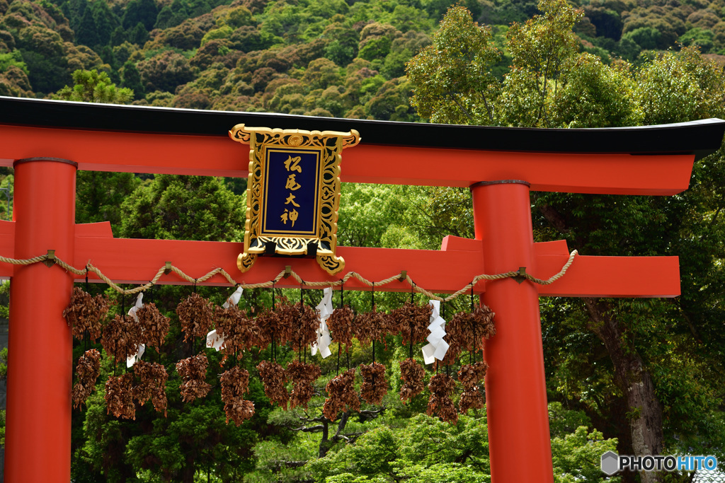 松尾山の神霊