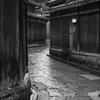 雨の小径