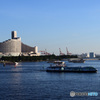 エメラルダスのいる東京湾