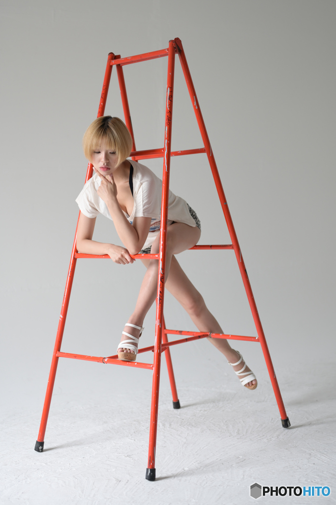 Stepladder2