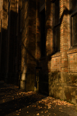 ぶらり本郷キャンパス２