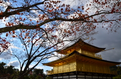金閣