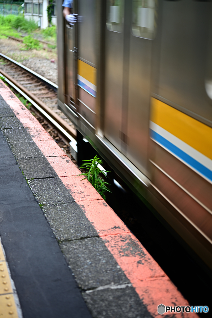無人駅