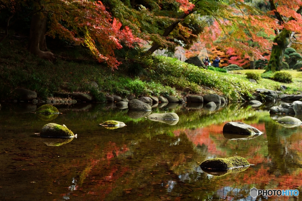 池に映える紅葉