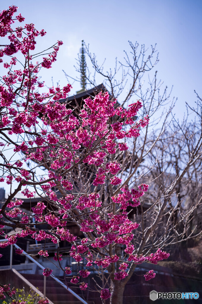 明鏡寺