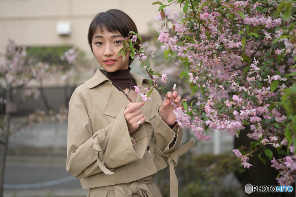 まだ桜がちらほら2