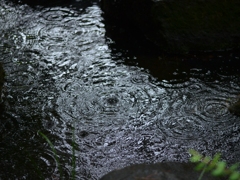 雨模様