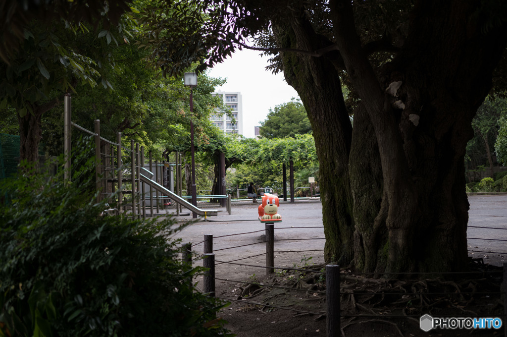 不動公園