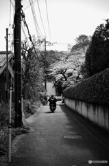 私を追い抜いていったバイク