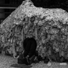安井金比羅宮