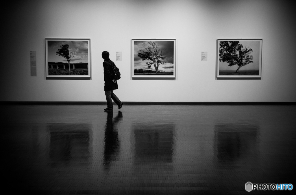 東京国立近代美術館4