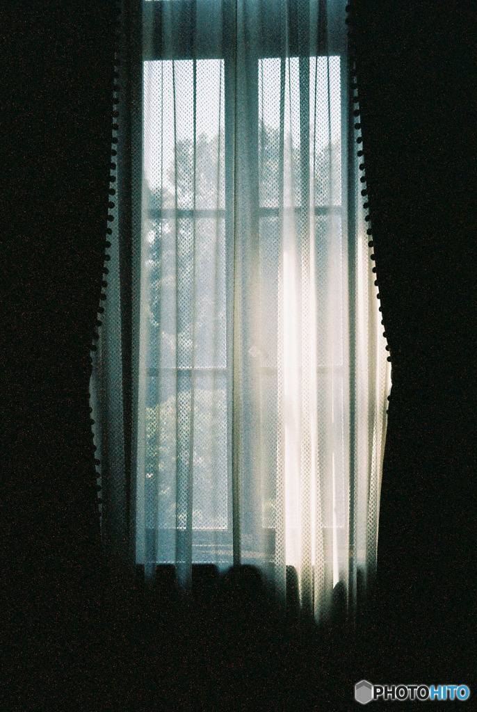 窓