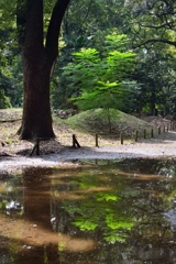 雨上がり