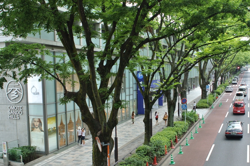 Omote Sando Hills