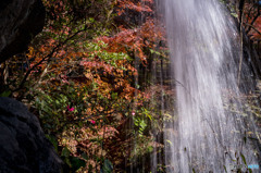 滝の裏側から