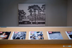 ワーナー・ビショフの昭和