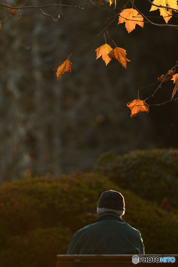 人生の秋