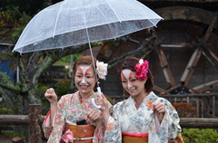 華のような女狐