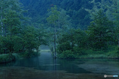 田代池