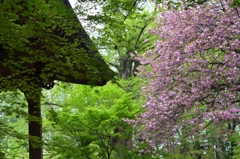季節は・・・