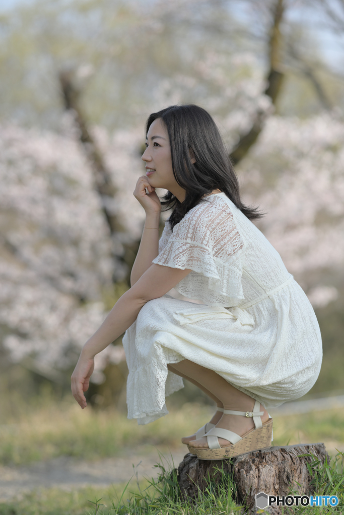湖畔の桜3
