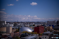 東京都心部遠望