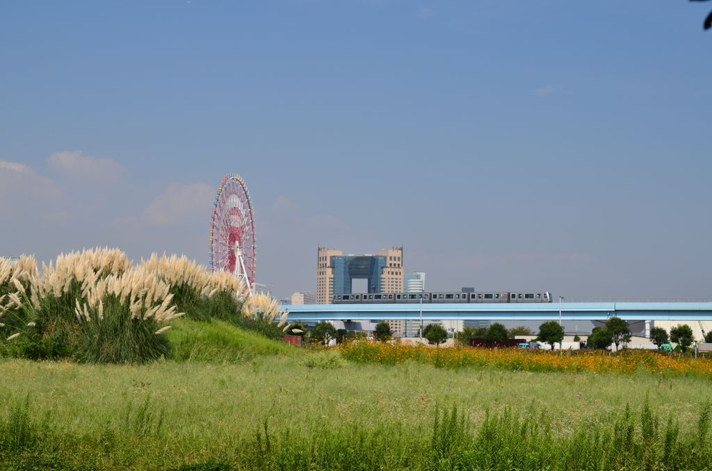 大観覧車とゆりかもめ