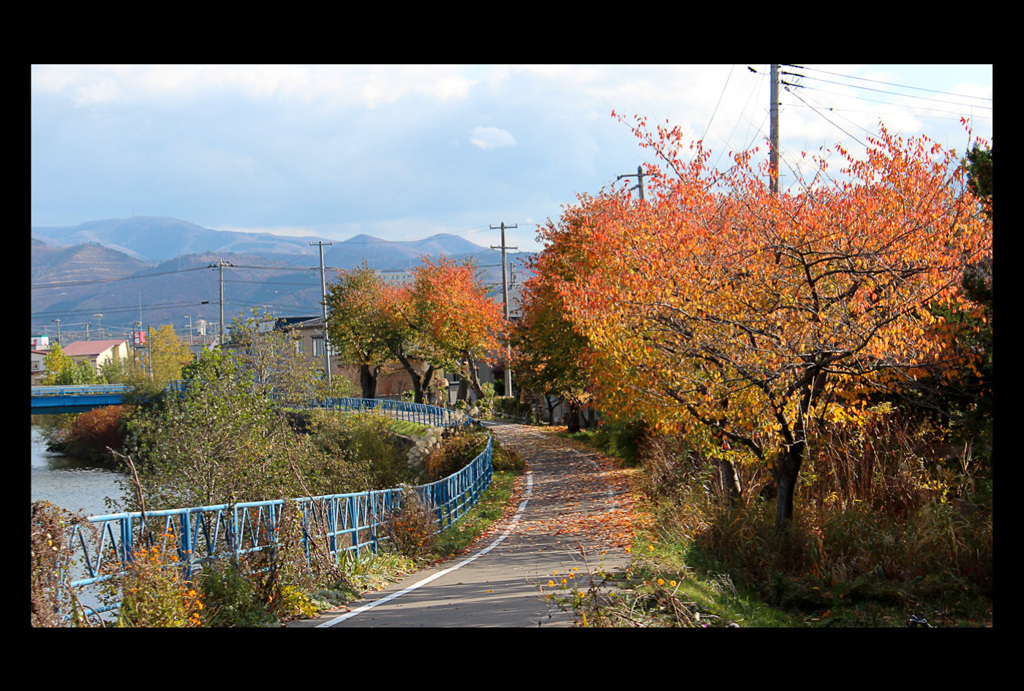 川縁の遊歩道