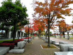 青森県立図書館