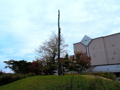 青森県立図書館の裏