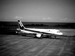 鳥取空港にて