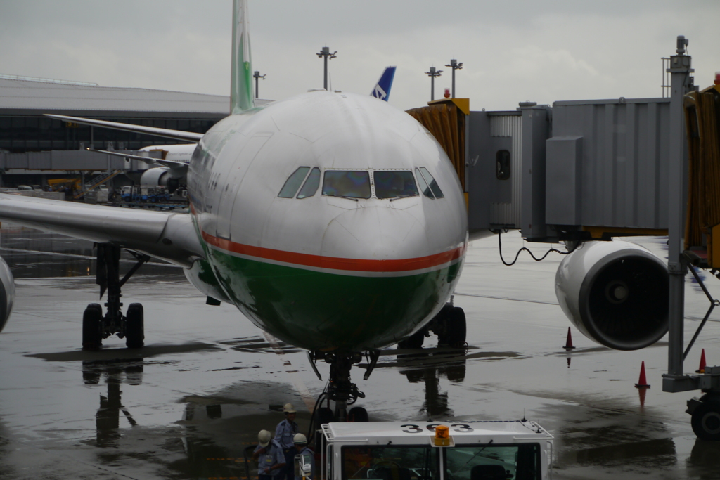 飛行機だ〜