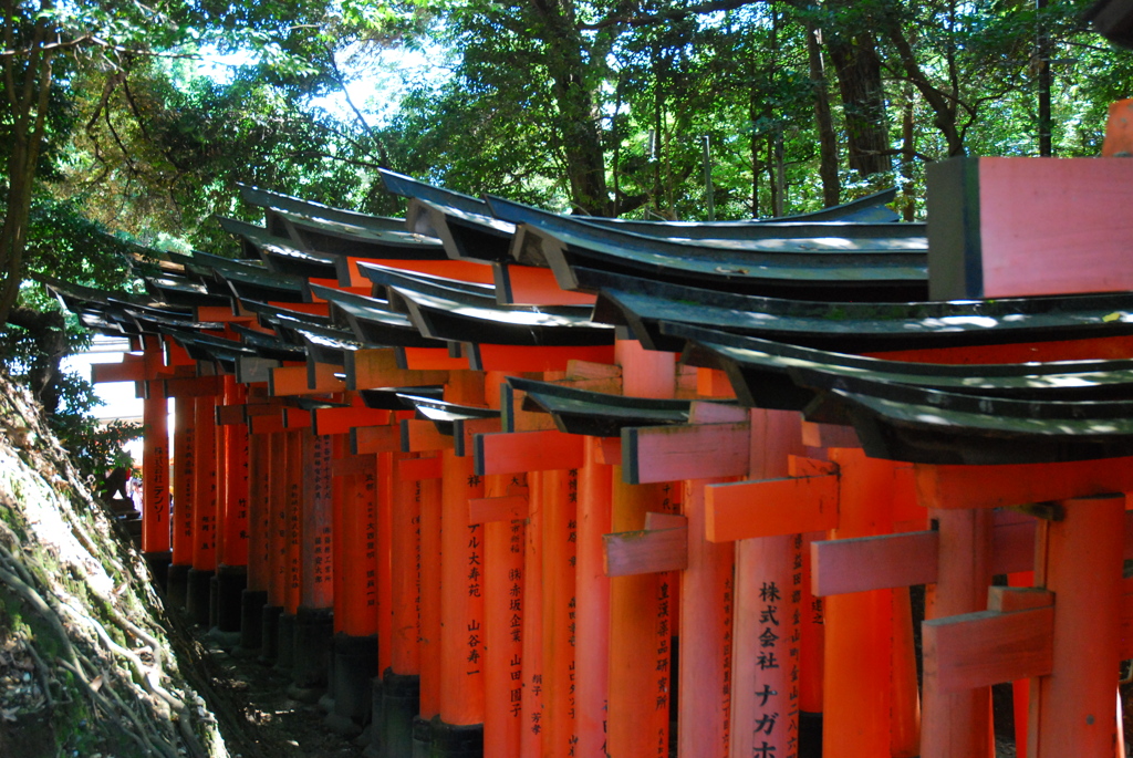 千本鳥居