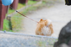 フリフリおしり