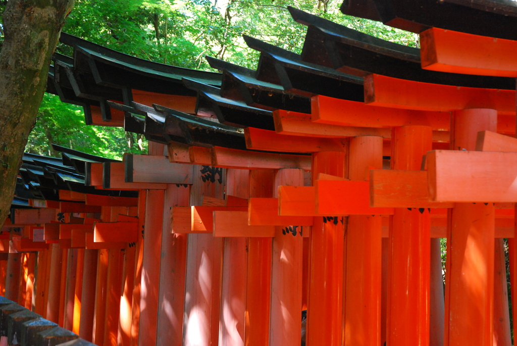 千本鳥居