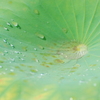 汗だく３