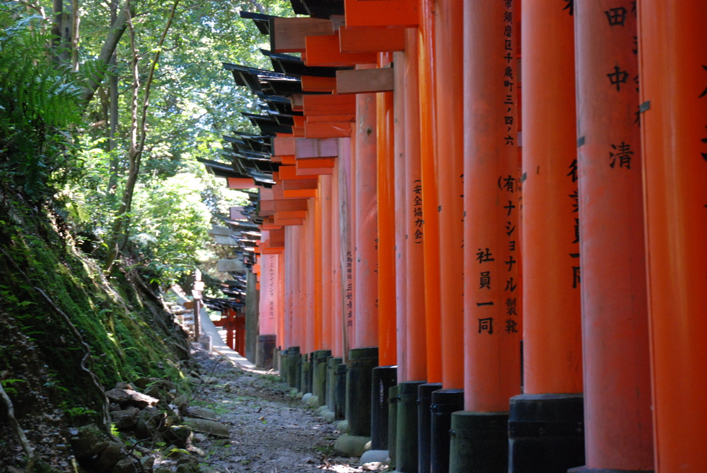 千本鳥居