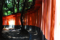 千本鳥居