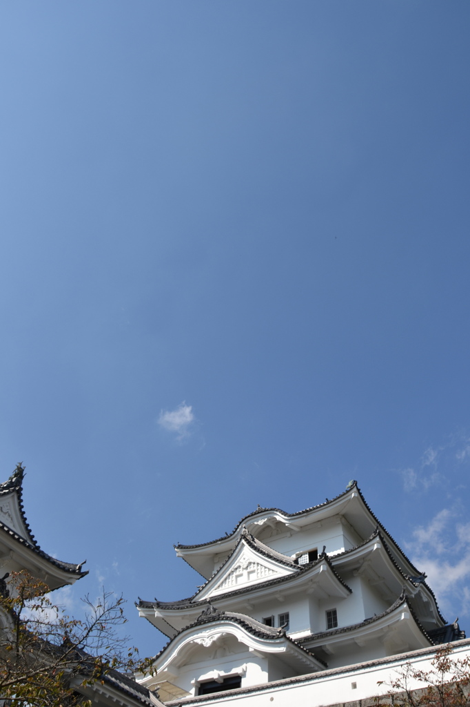 The castle 伊賀上野城