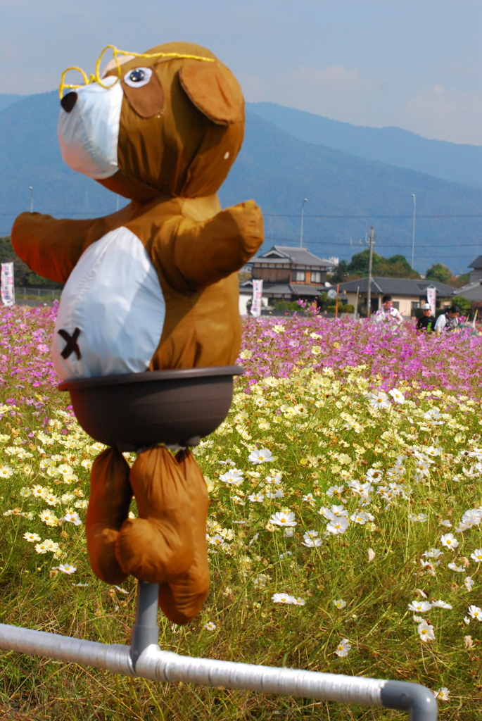 かかしコンテスト
