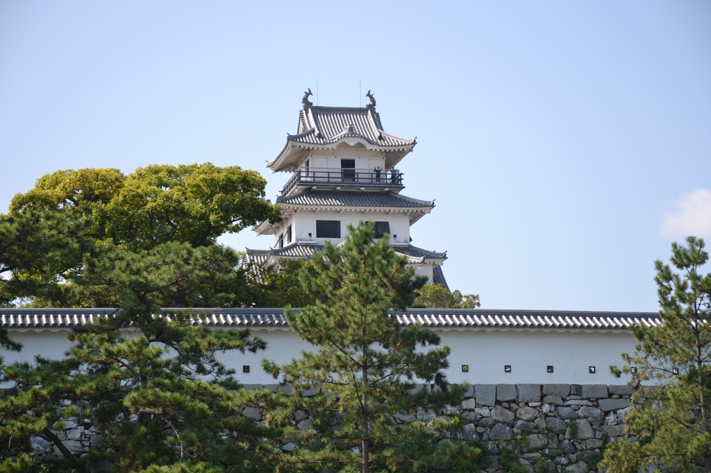 愛媛　今治城