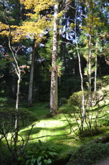 霊山寺